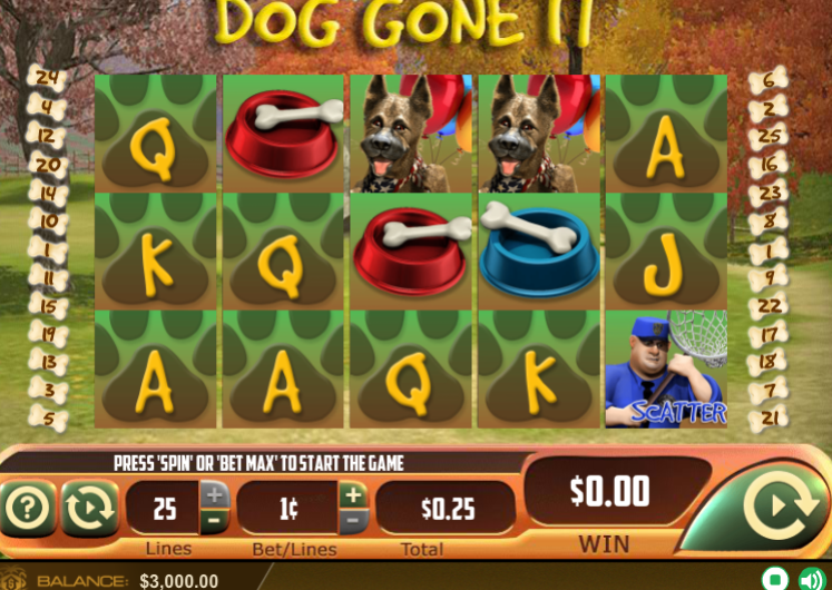 Dog Gone It WGS 5 Reel Slots 